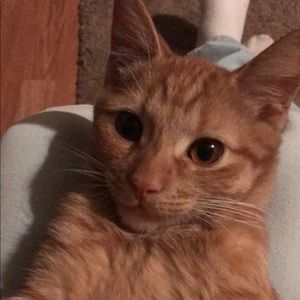 Meet your Posher, Bryant